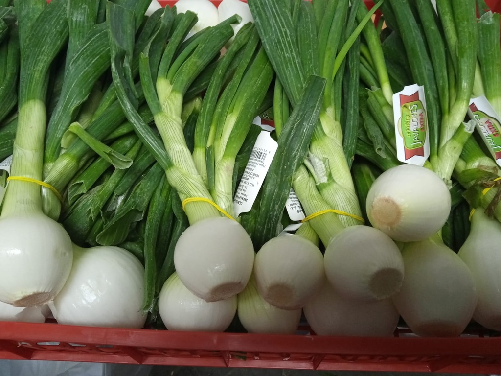 CEBOLLETAS 