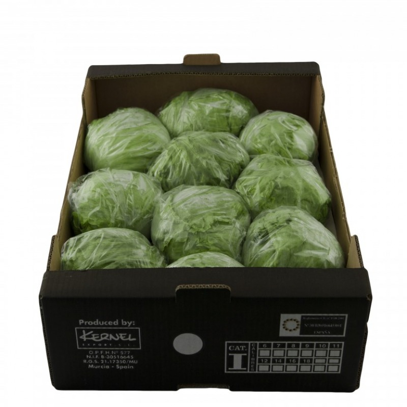 LECHUGA ROMANA - 1 P