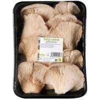 SETA BANDEJA 400 G