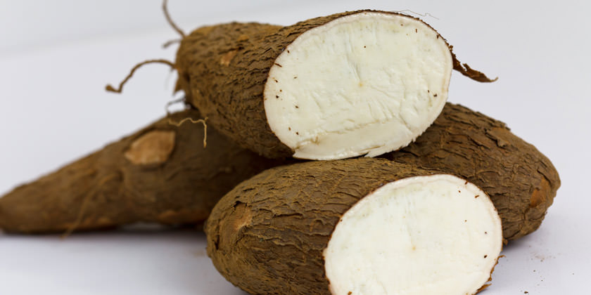 YUCA