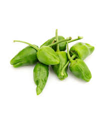 PIMIENTO PADRON PEQUEÑO