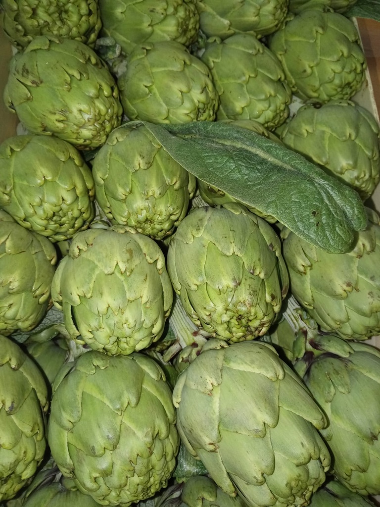 ALCACHOFA naturales 