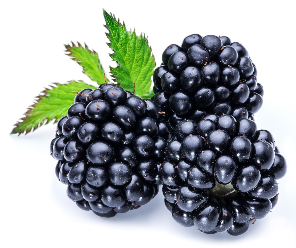 MORAS TARRINA 125 G
