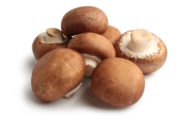 CHAMPIÑON ( PORTOBELLO.)