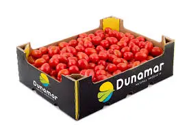 TOMATE CHERRY RAMA o GRANEL KILO H