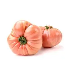 TOMATE ROSADO H.