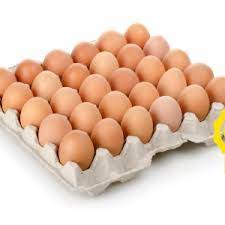 HUEVOS CAMPERO  1/2 Docena