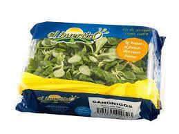 CANONIGOS