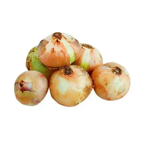 CEBOLLA Nacional H