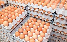 HUEVOS L (naturovo L)  30U