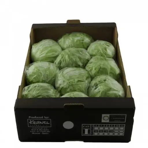 LECHUGA ICEBERG H.
