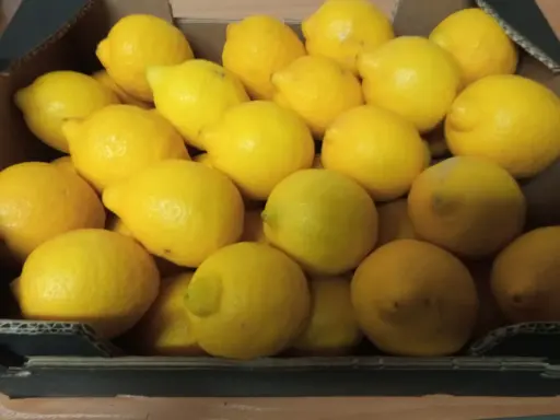 LIMONES H