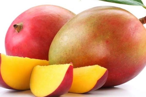 MANGO EXTRA