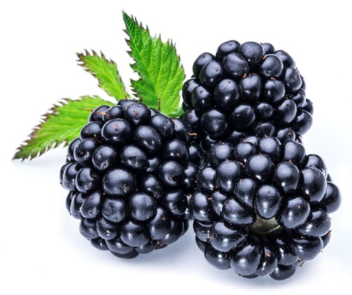 MORAS TARRINA 125 G