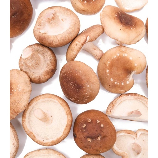 SHITAKE