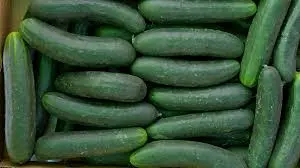 PEPINO