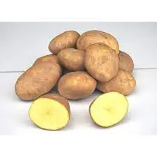 PATATA 