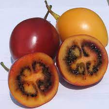 TOMATE DE ARBOL CAJA